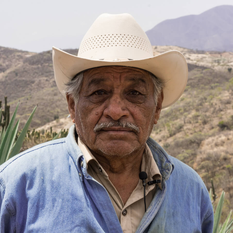 Don Chon